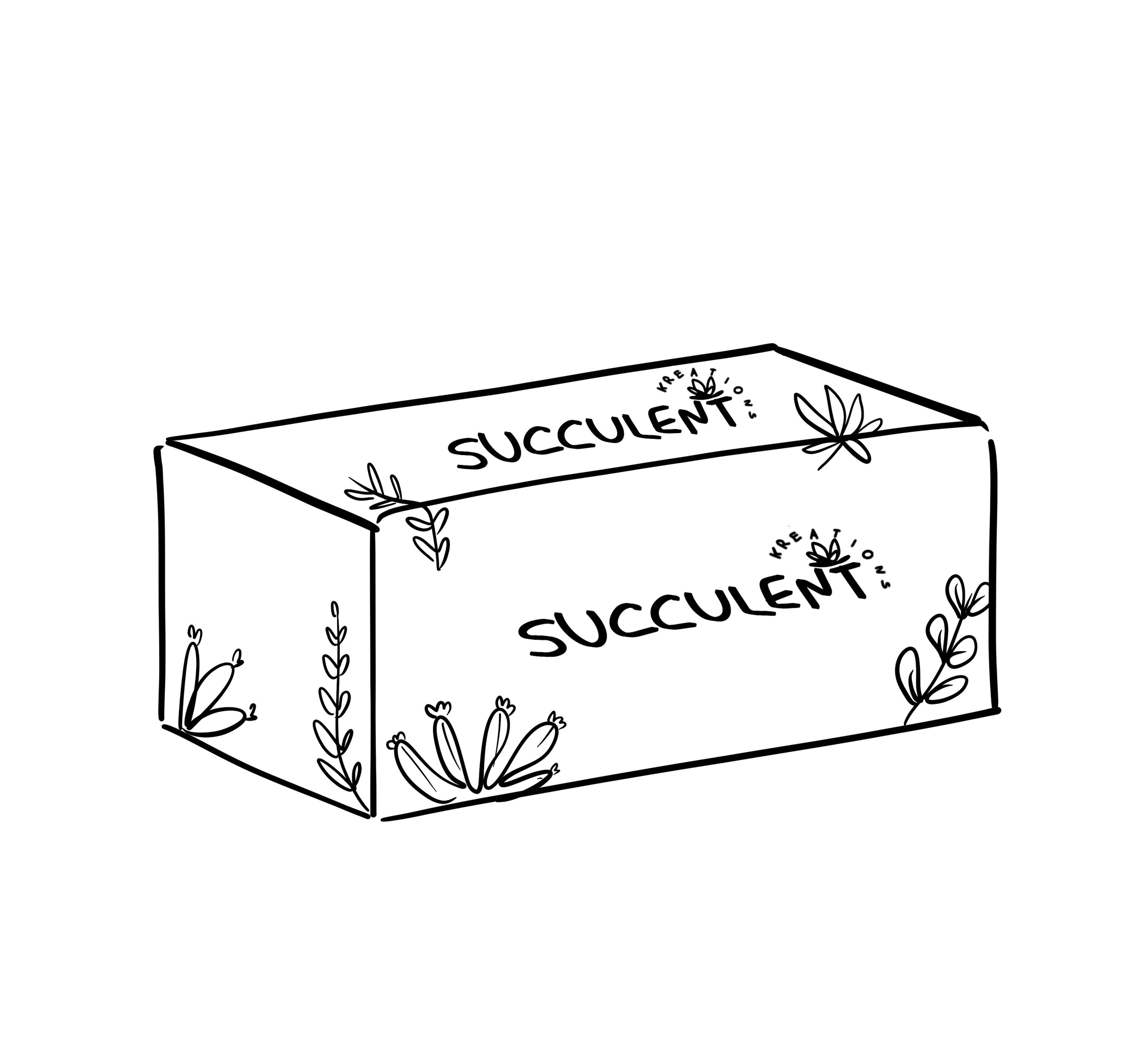 Gift Box
