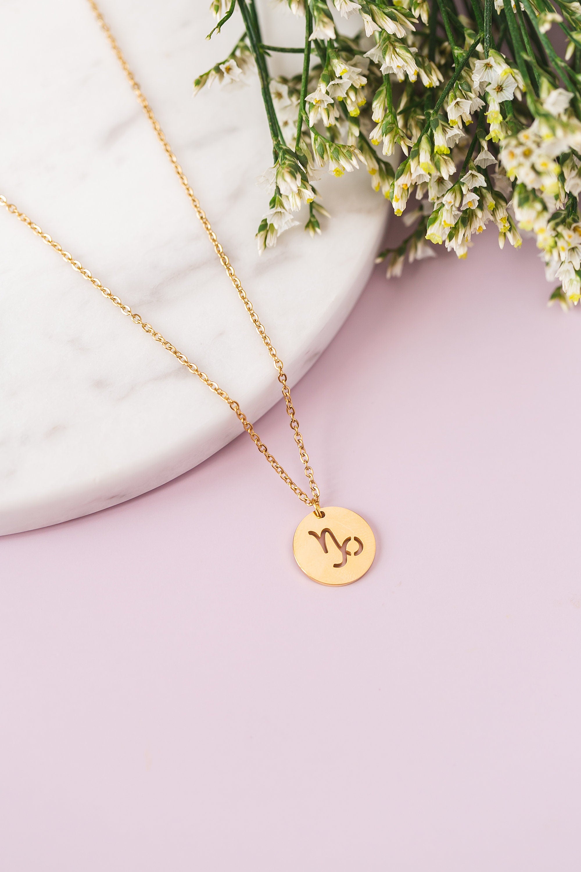 Capricorn Zodiac Necklace